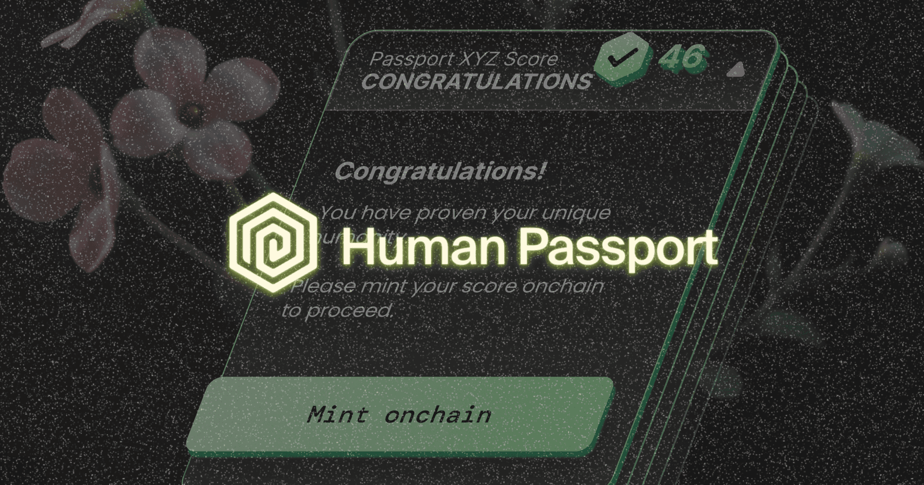 OnChain Passport