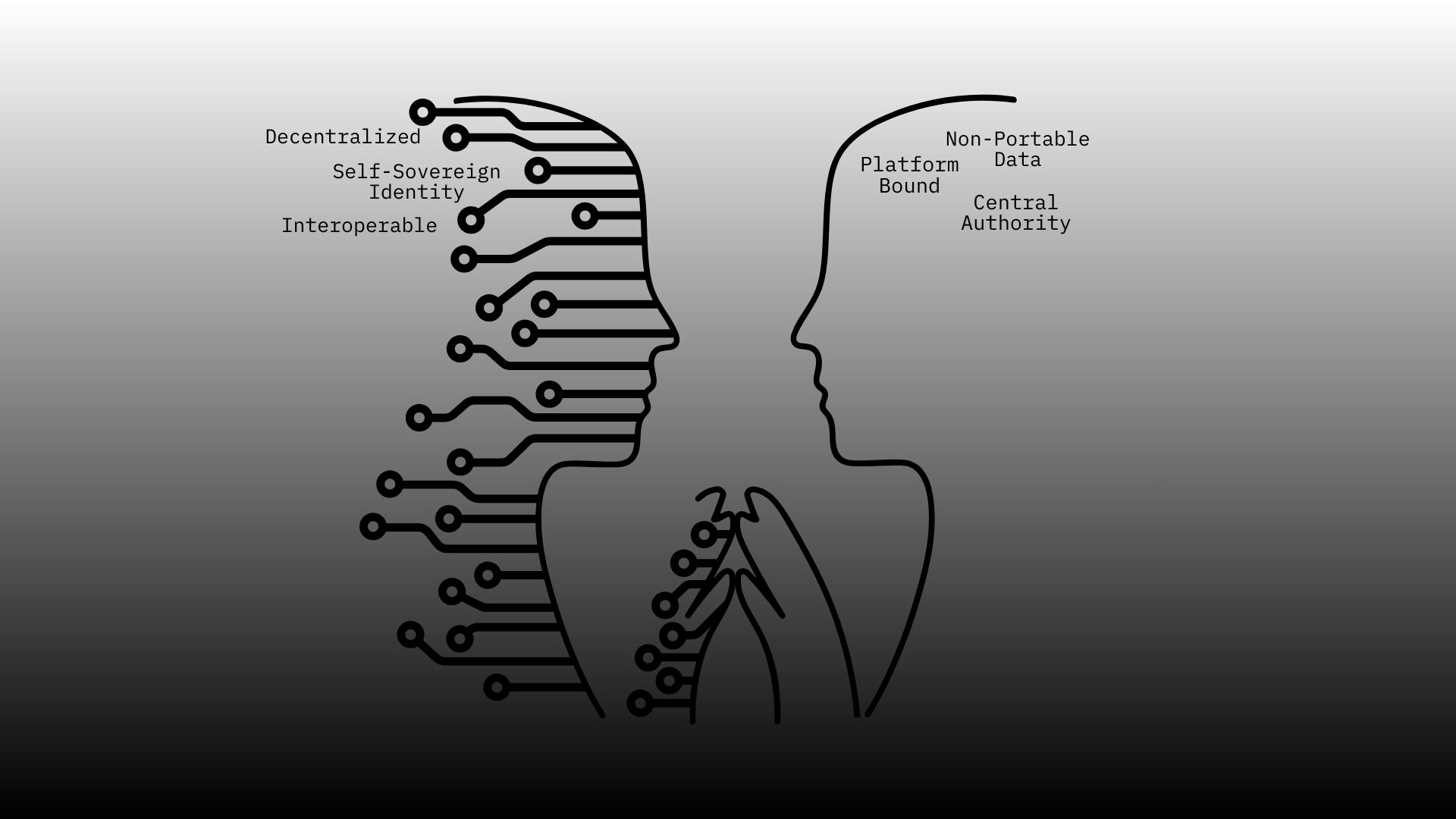 decentralized identifiers DID graphic