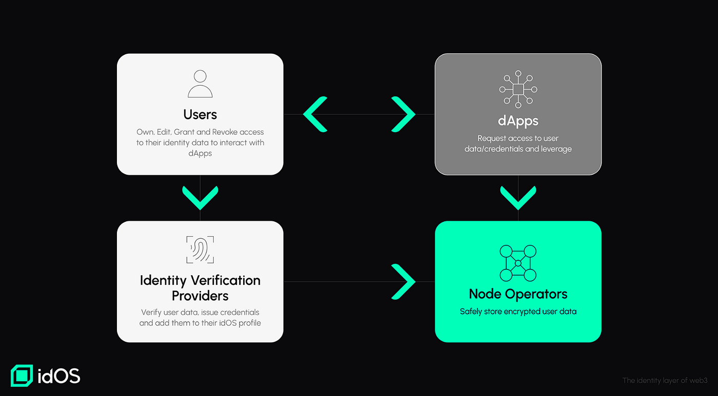 Futuristic user managing digital identity across multiple blockchains with idOS wallets in a decentralized web3 environment