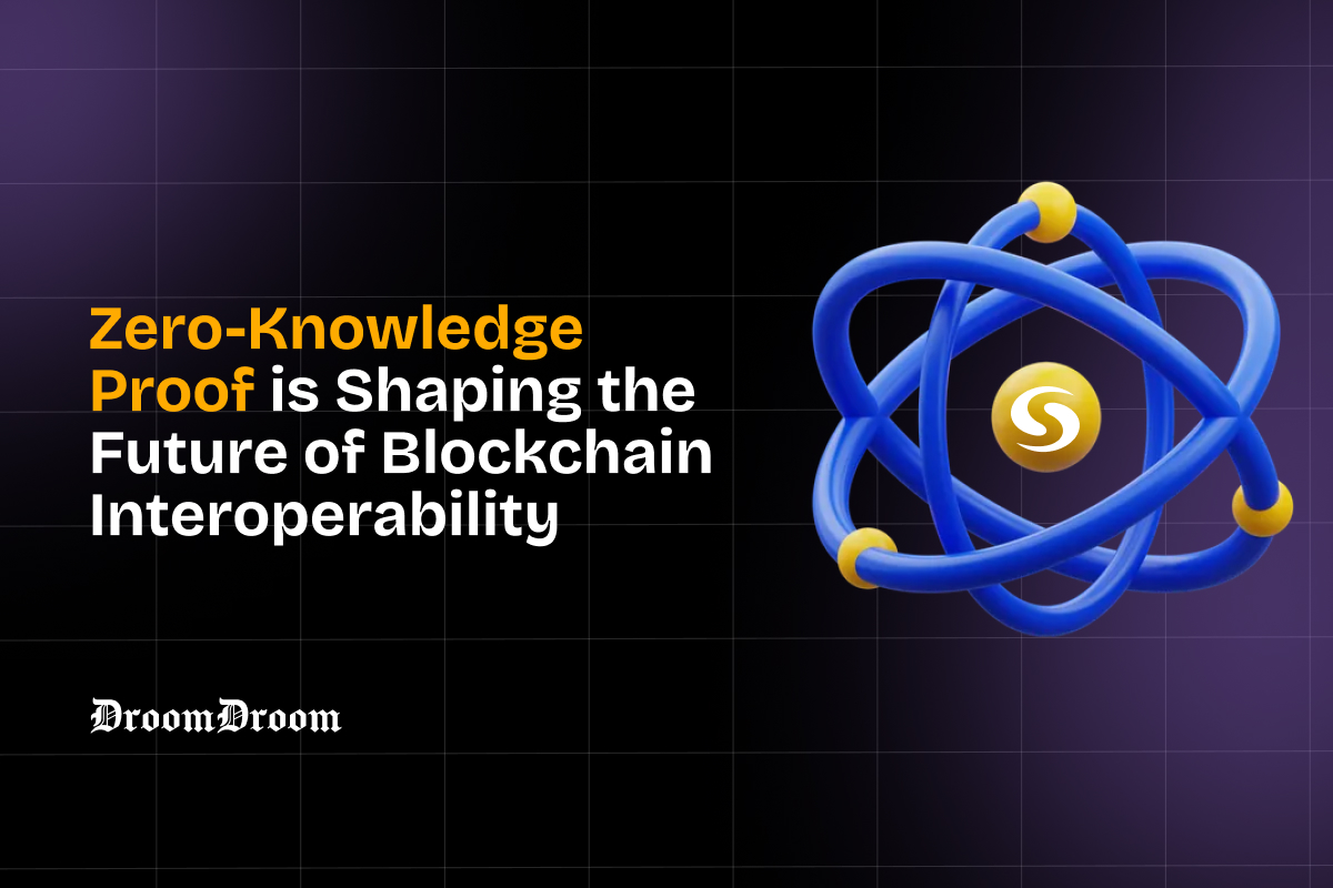 SSI ZK proof interoperability
