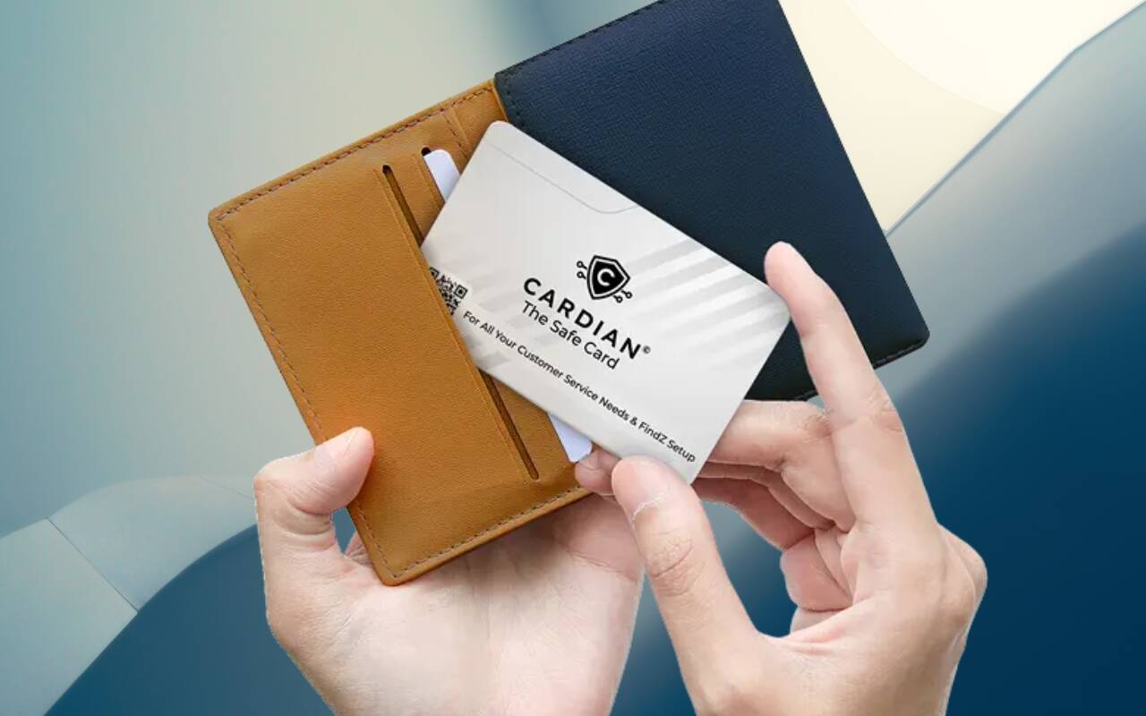 Secure digital identity wallet with privacy shield