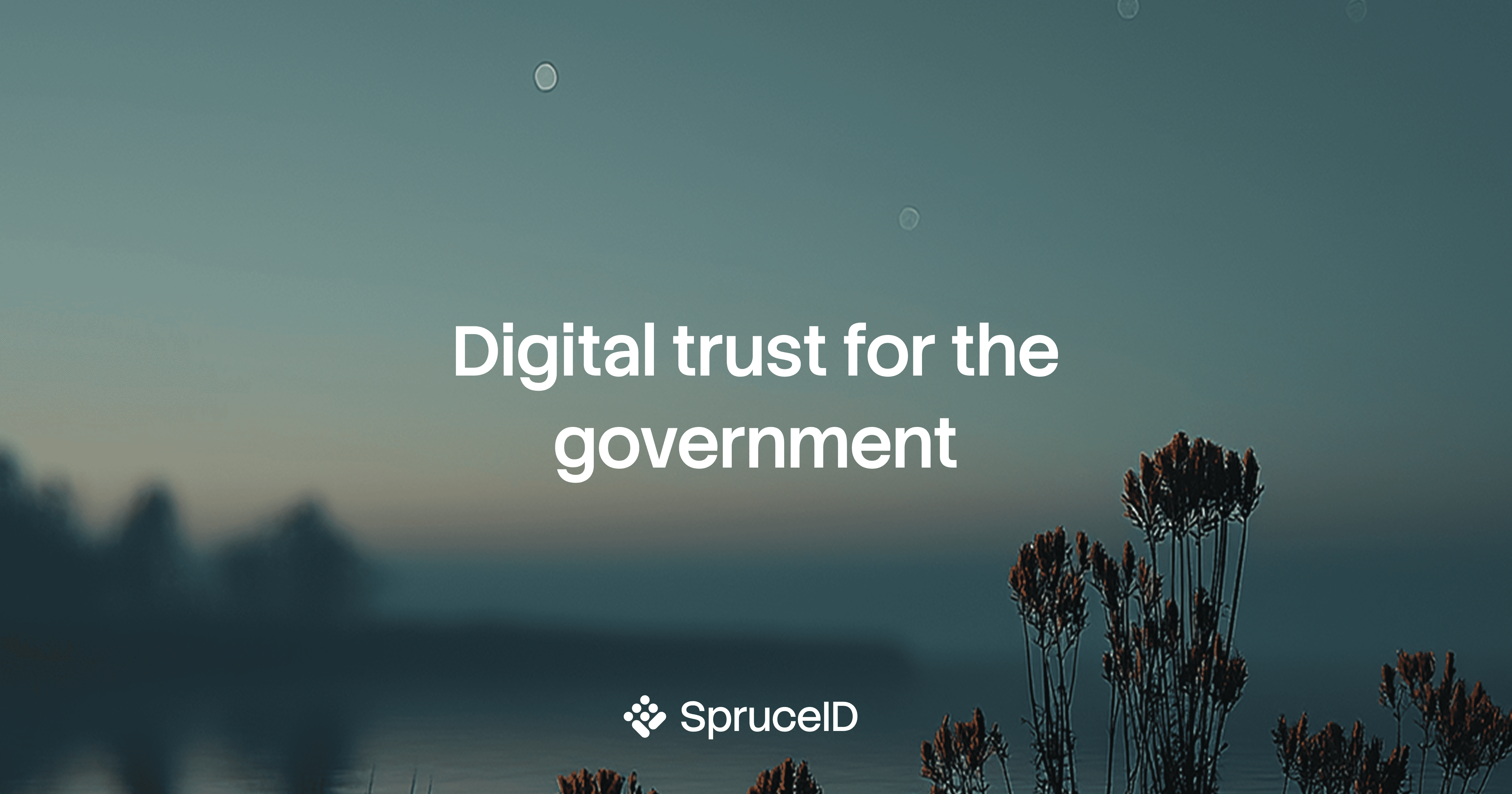 SpruceID logo